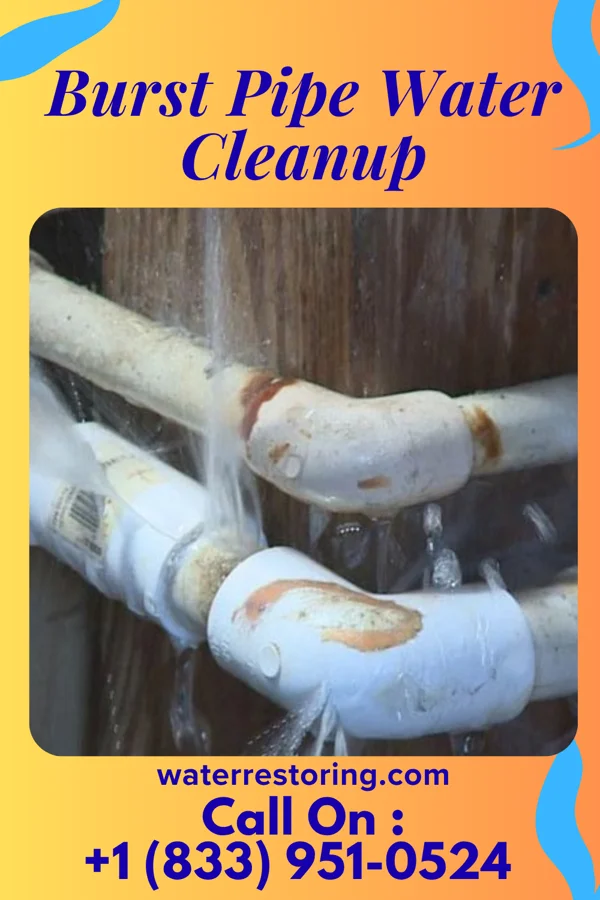 Burst Pipe Water Cleanup in Bridgeport, IL