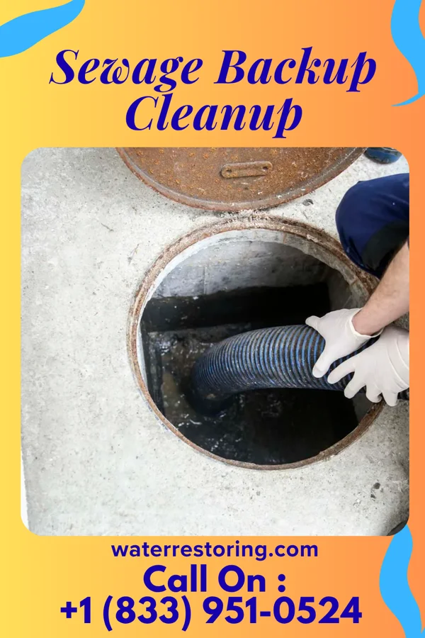 Sewage Backup Cleanup in Bridgeport, IL