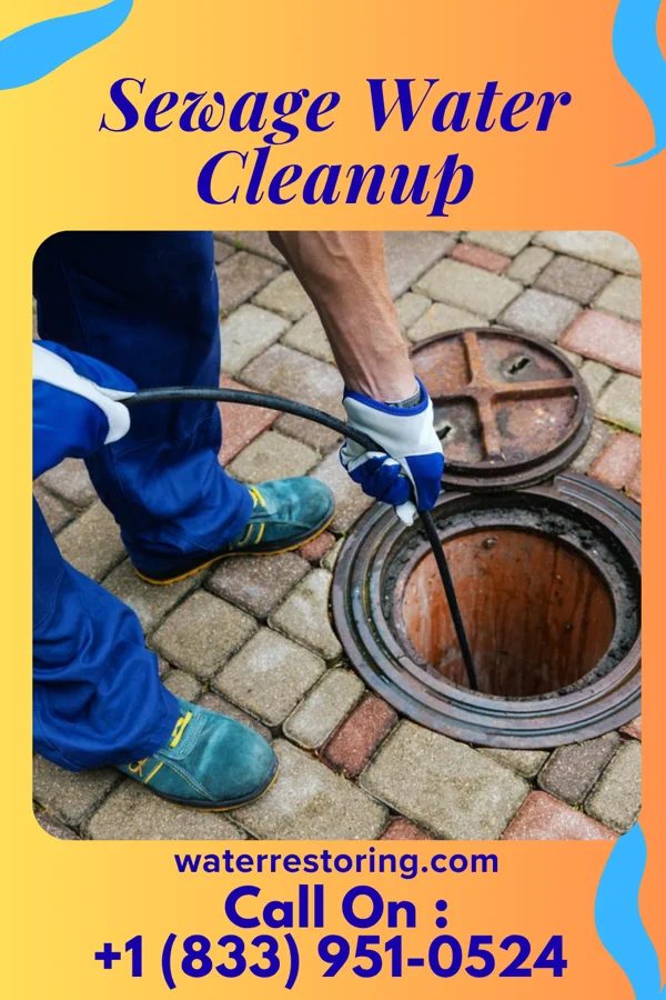 Sewage Water Cleanup in Bridgeport, IL